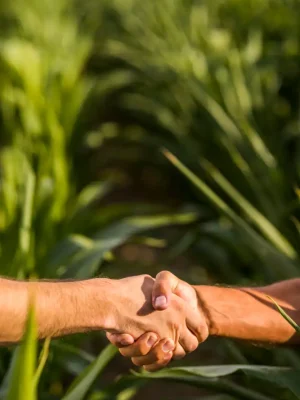 personas trabajando el campo